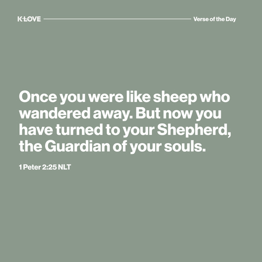 Once you were like sheep who wandered away. But now you have turned to your Shepherd, the Guardian of your souls.