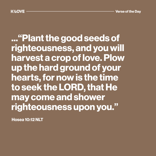 ..."Plant the good seeds of righteousness, and you will harvest a crop of love. Plow up the hard ground of your hearts, for now is the time to seek the LORD, that He may come and shower righteousness upon you."