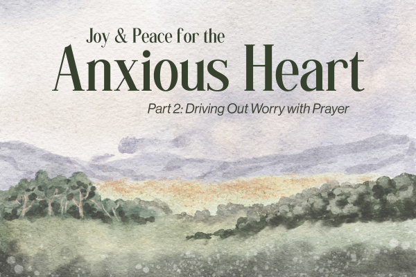 joy and peace series part 2: driving out worry with prayer