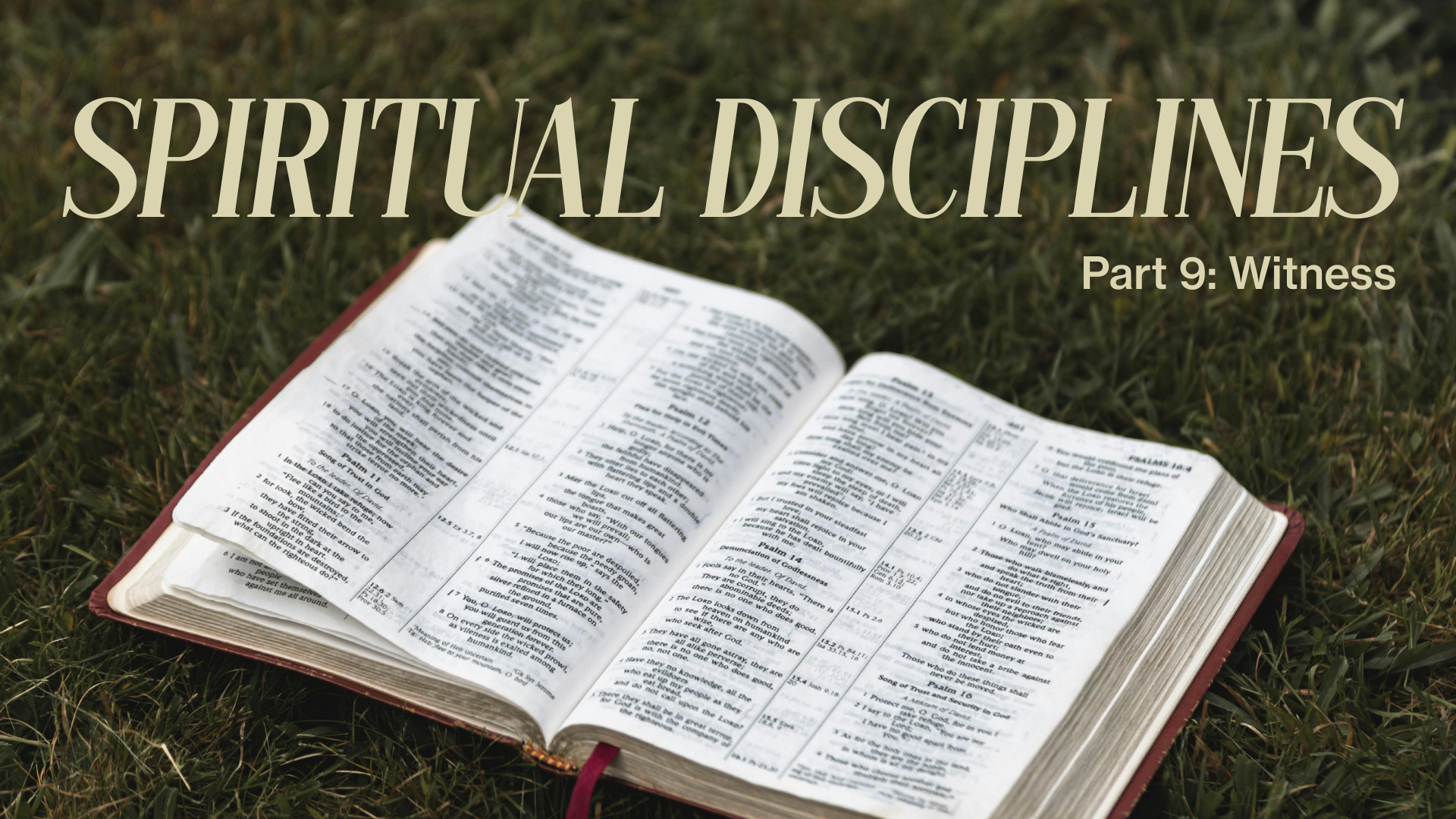 Part 9 Spiritual Disciplines Series Image