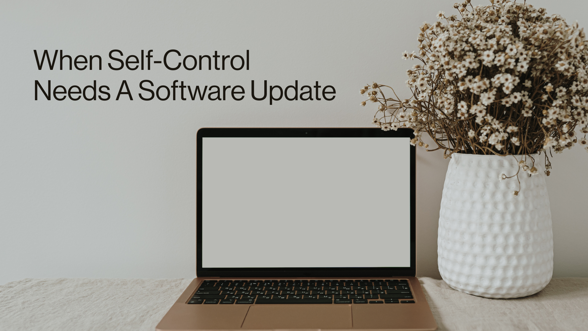 When Self-Control Needs a Software Update Image