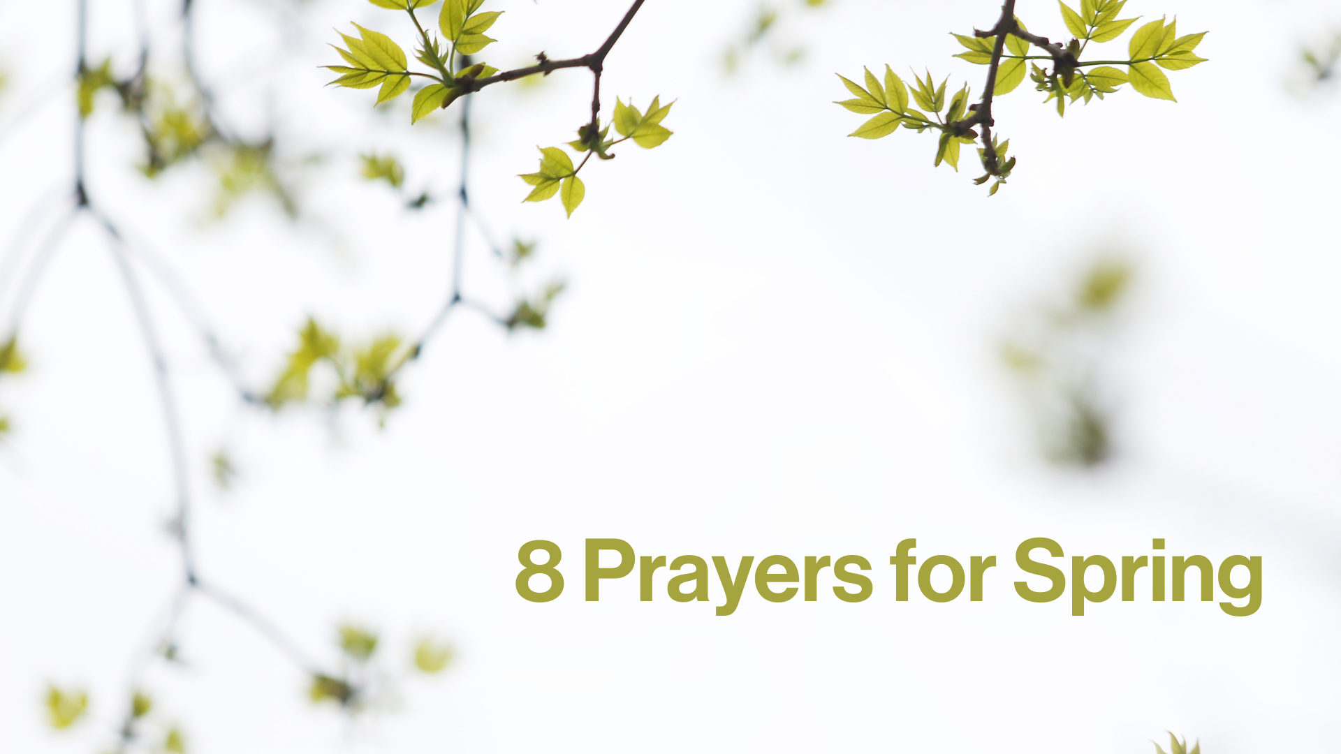 8 Prayers for Spring Image