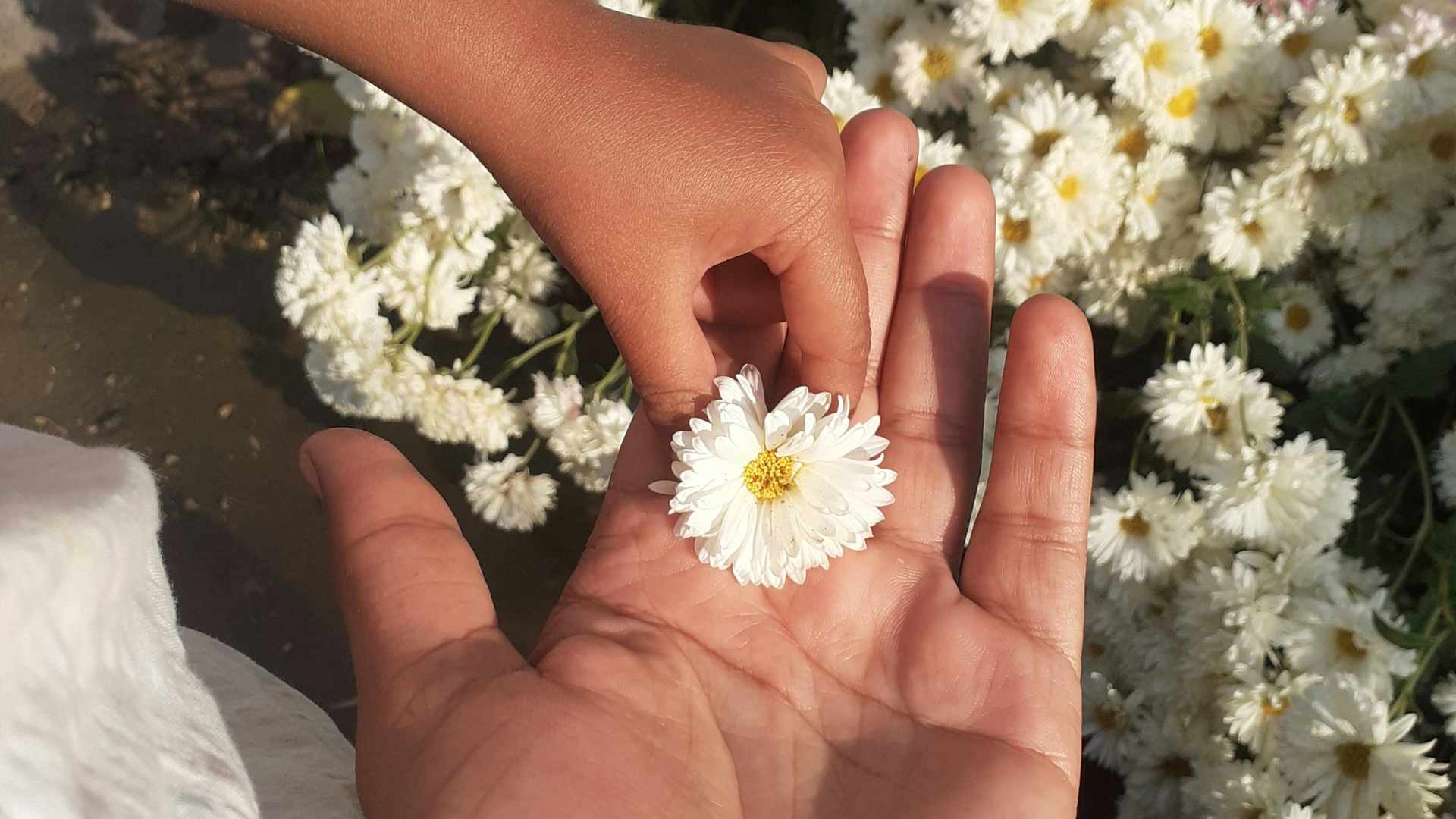 Spanish Giving Thanks Under the Most Difficult Circumstances Image