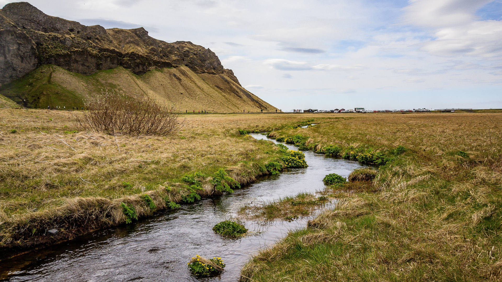 Spanish Safe in the Shepherd's Care Image