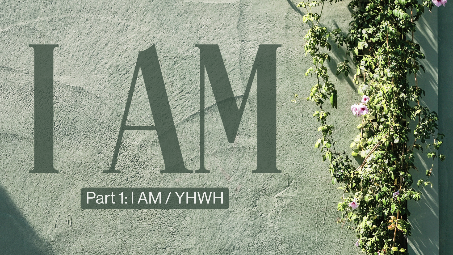 P1 I Am Easter Image