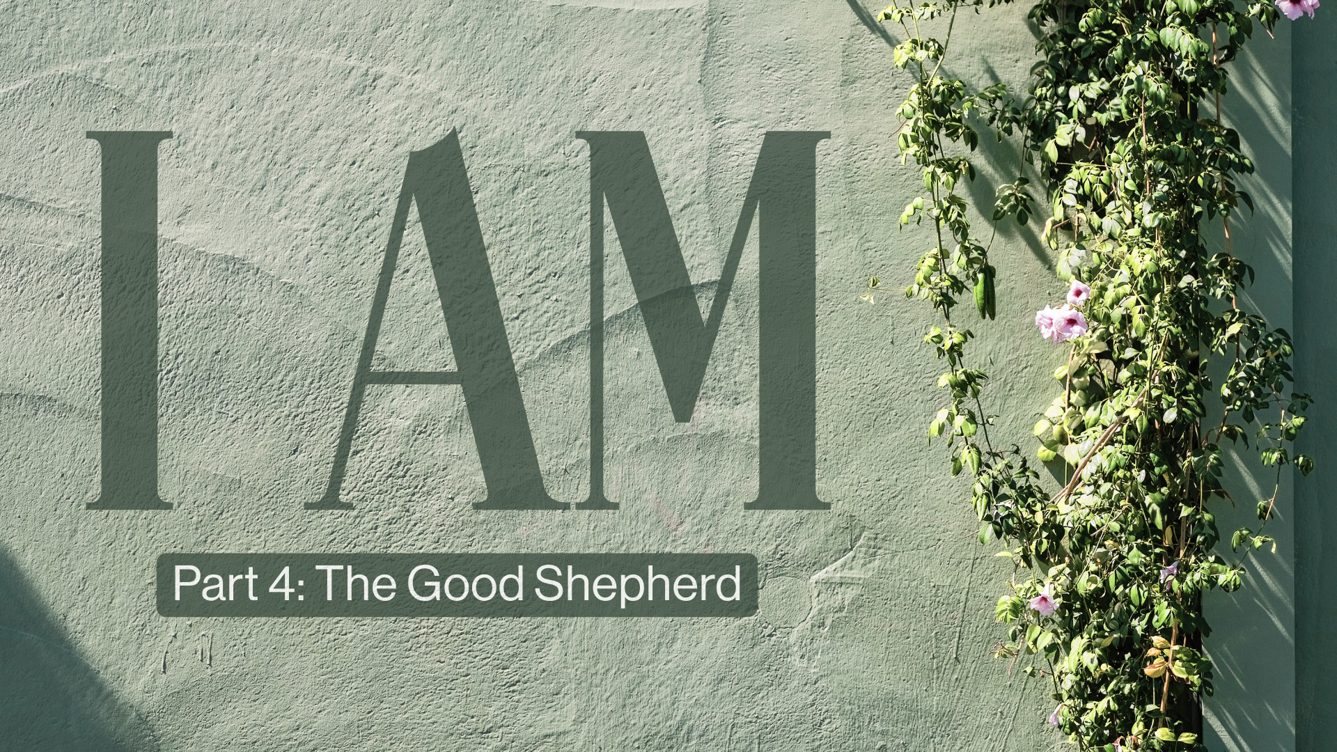 P4 I Am Easter Image