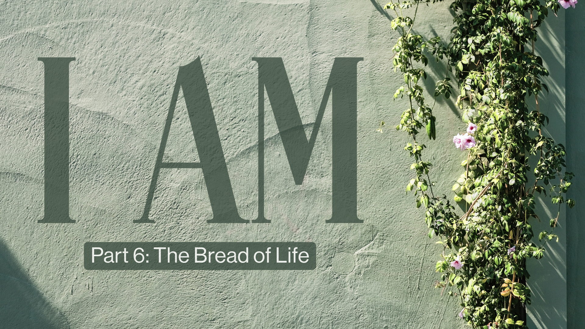 P6 I Am Easter Image