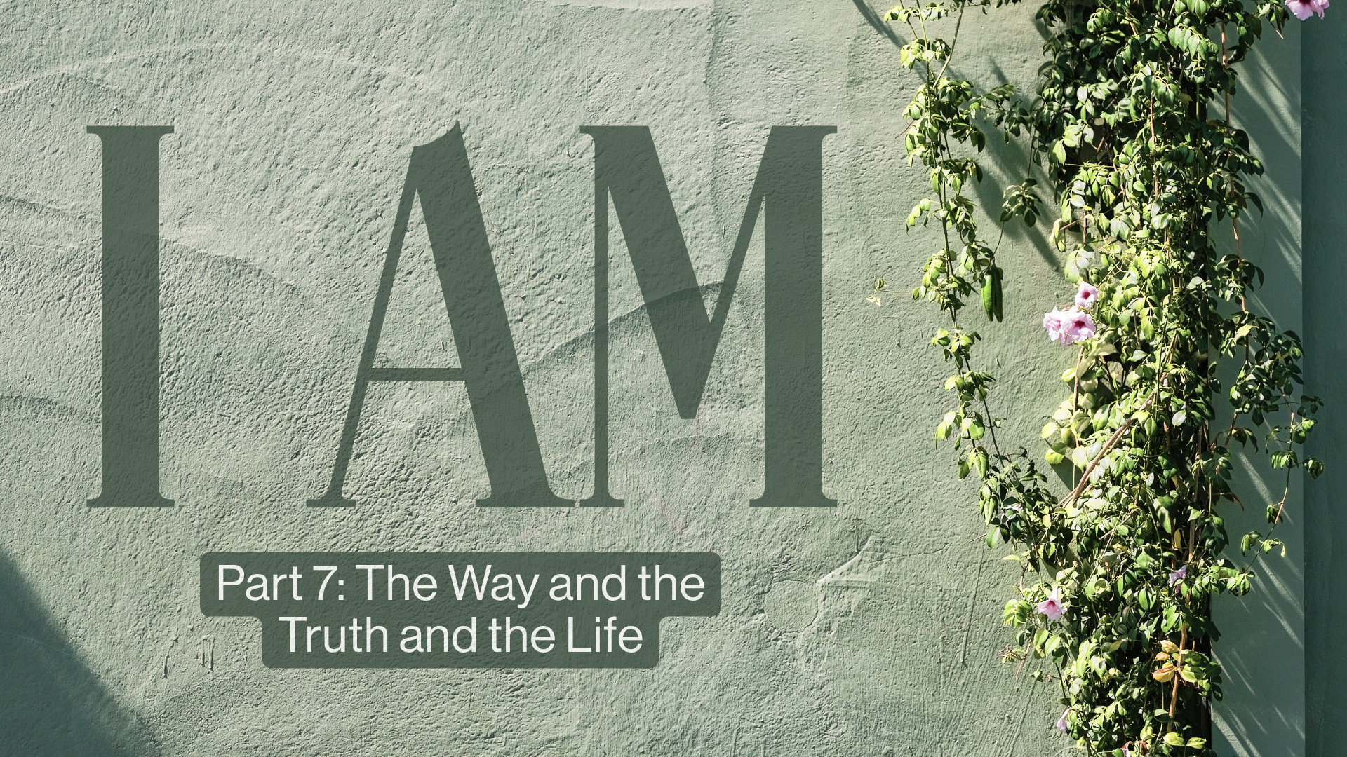 P7 I Am Easter Image