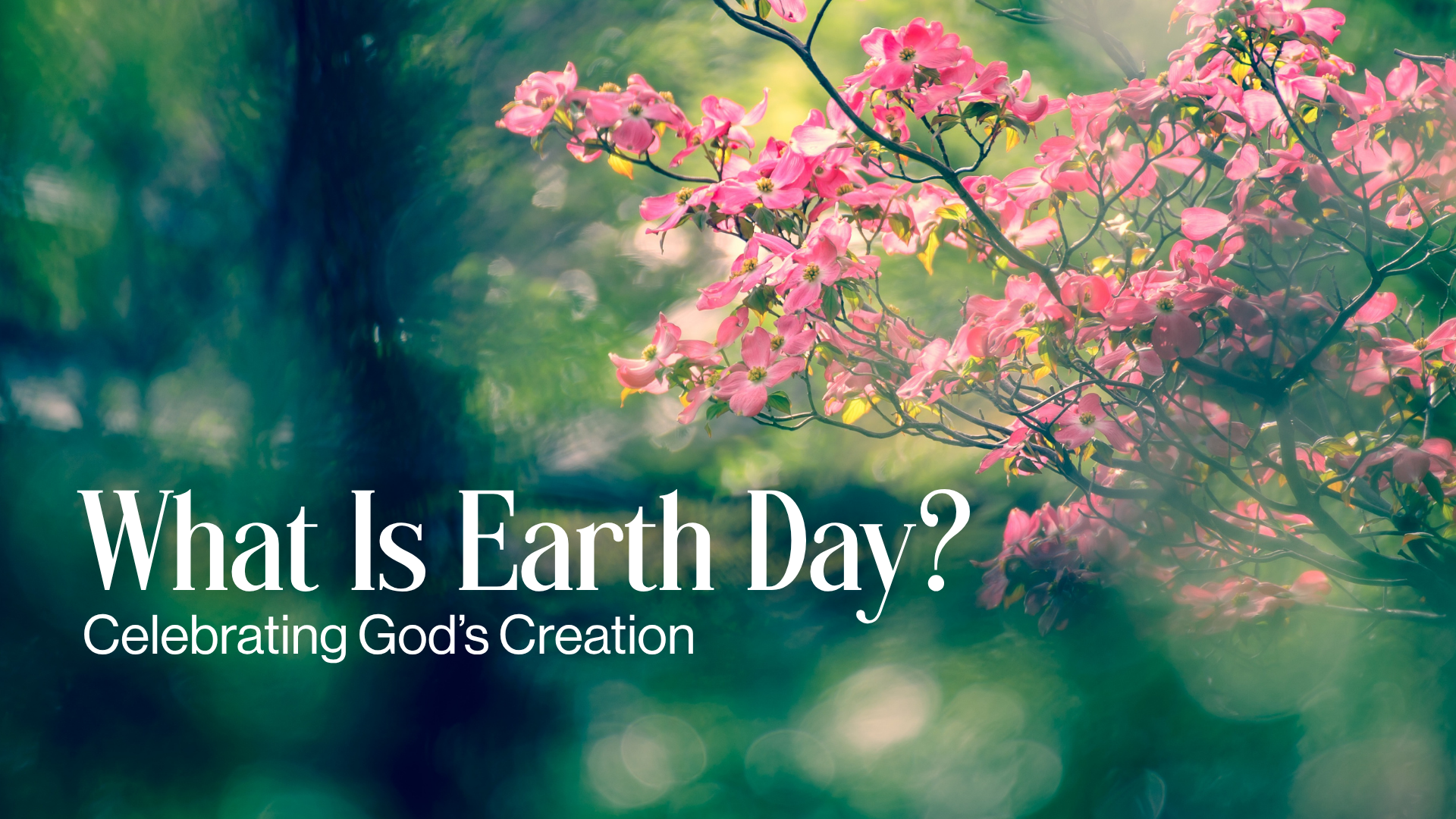 What Is Earth Day?: Celebrating God's Creation Image