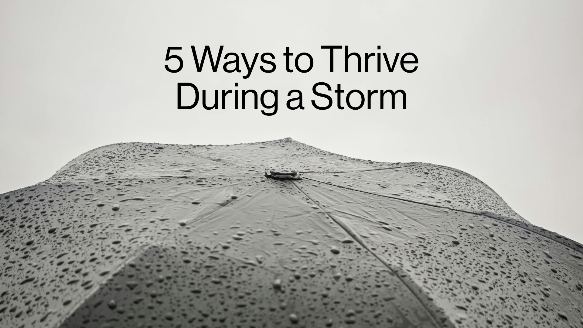 5 Ways to Thrive During a Storm Image