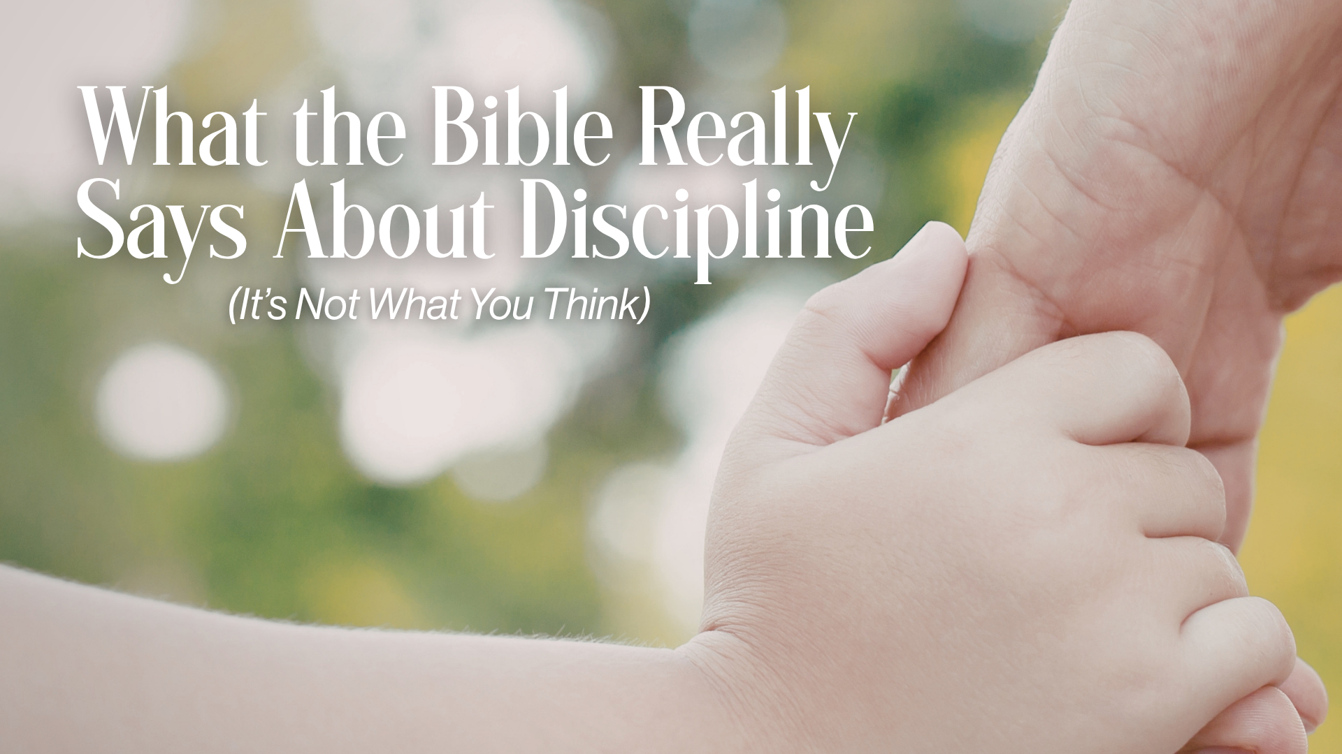 What the Bible Says Discipline Final Image