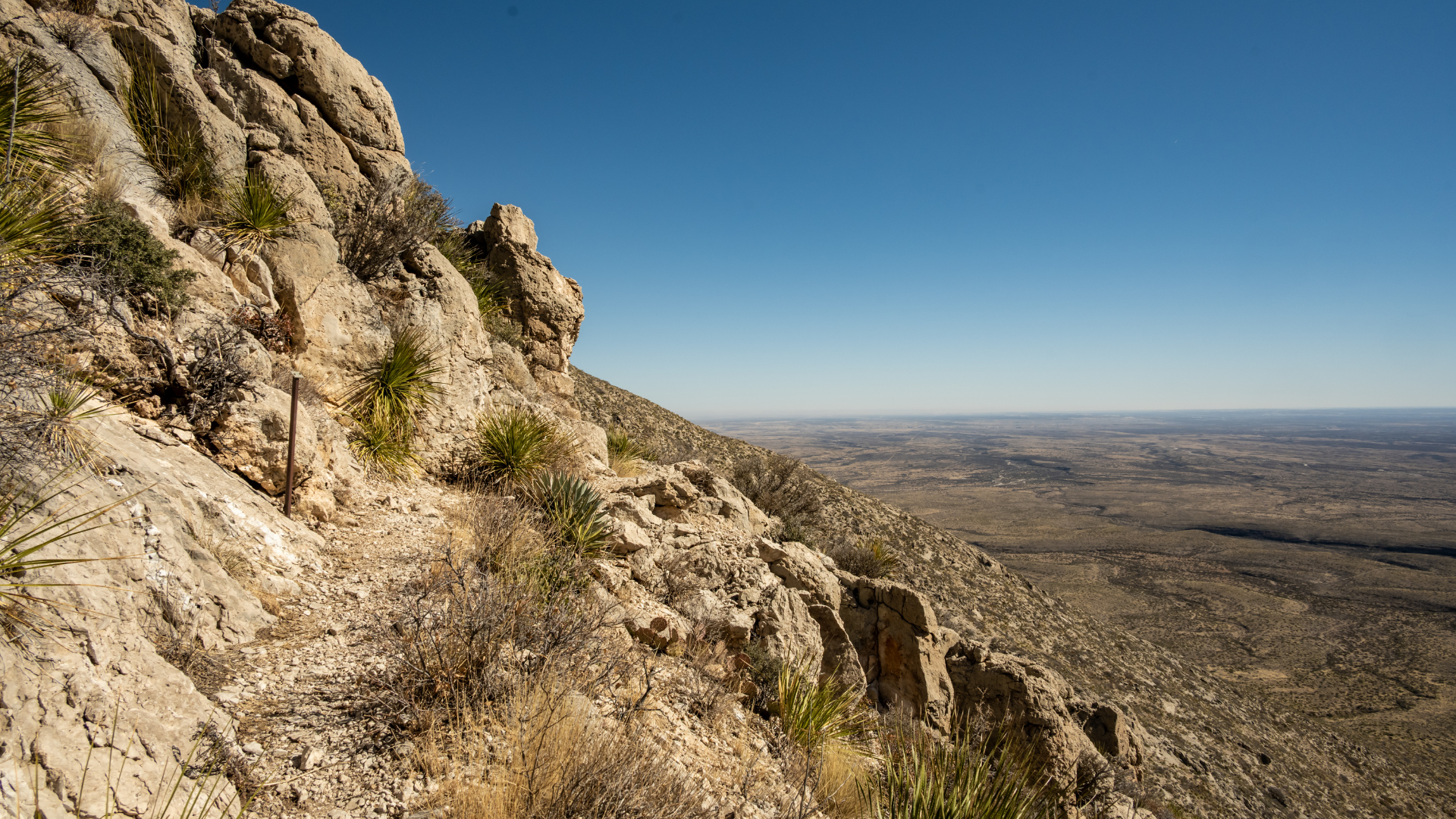 Spanish On Assignment in a Foreign Land Image