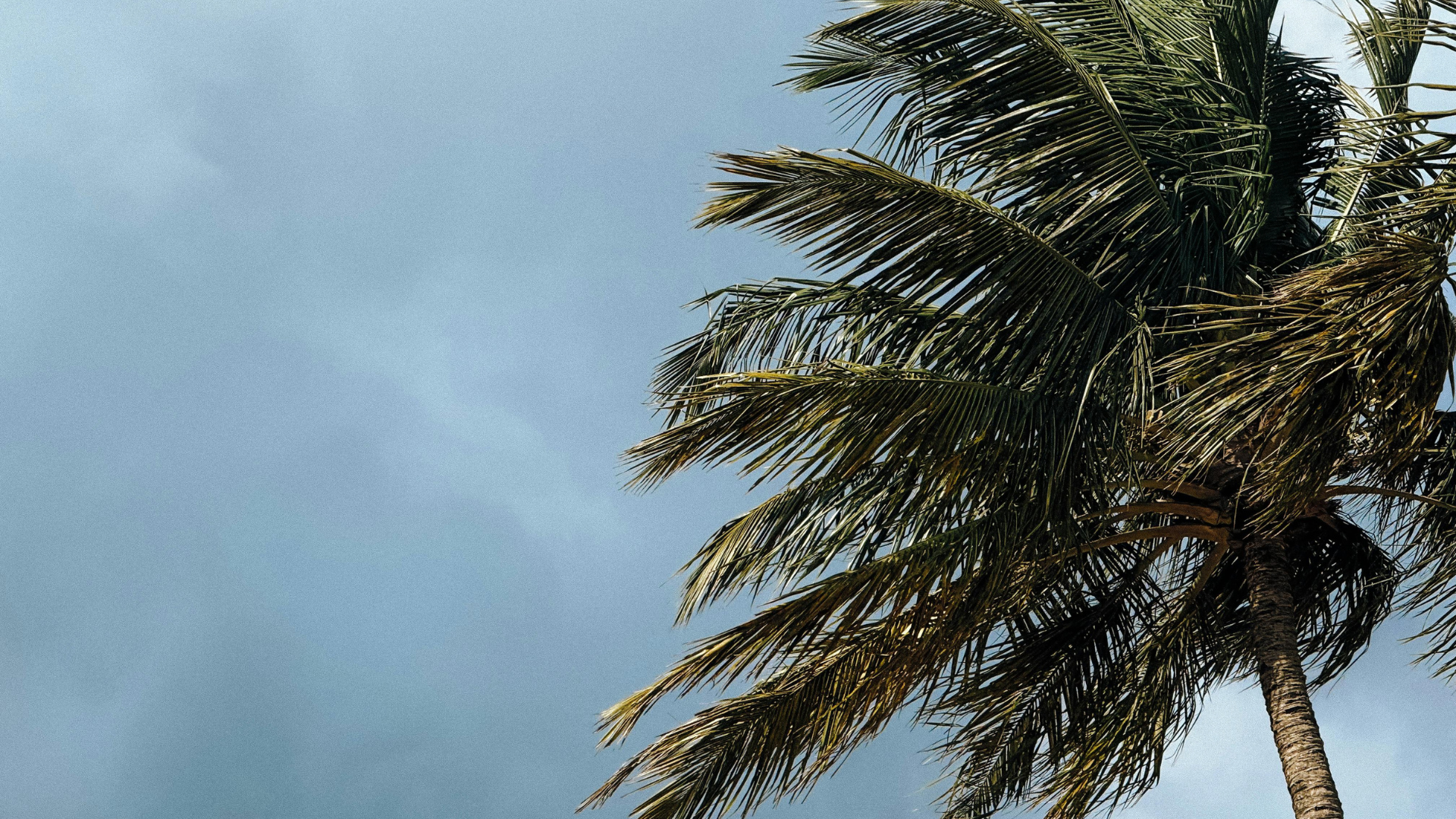 Spanish 5 Prayers Hurricane Helene Image