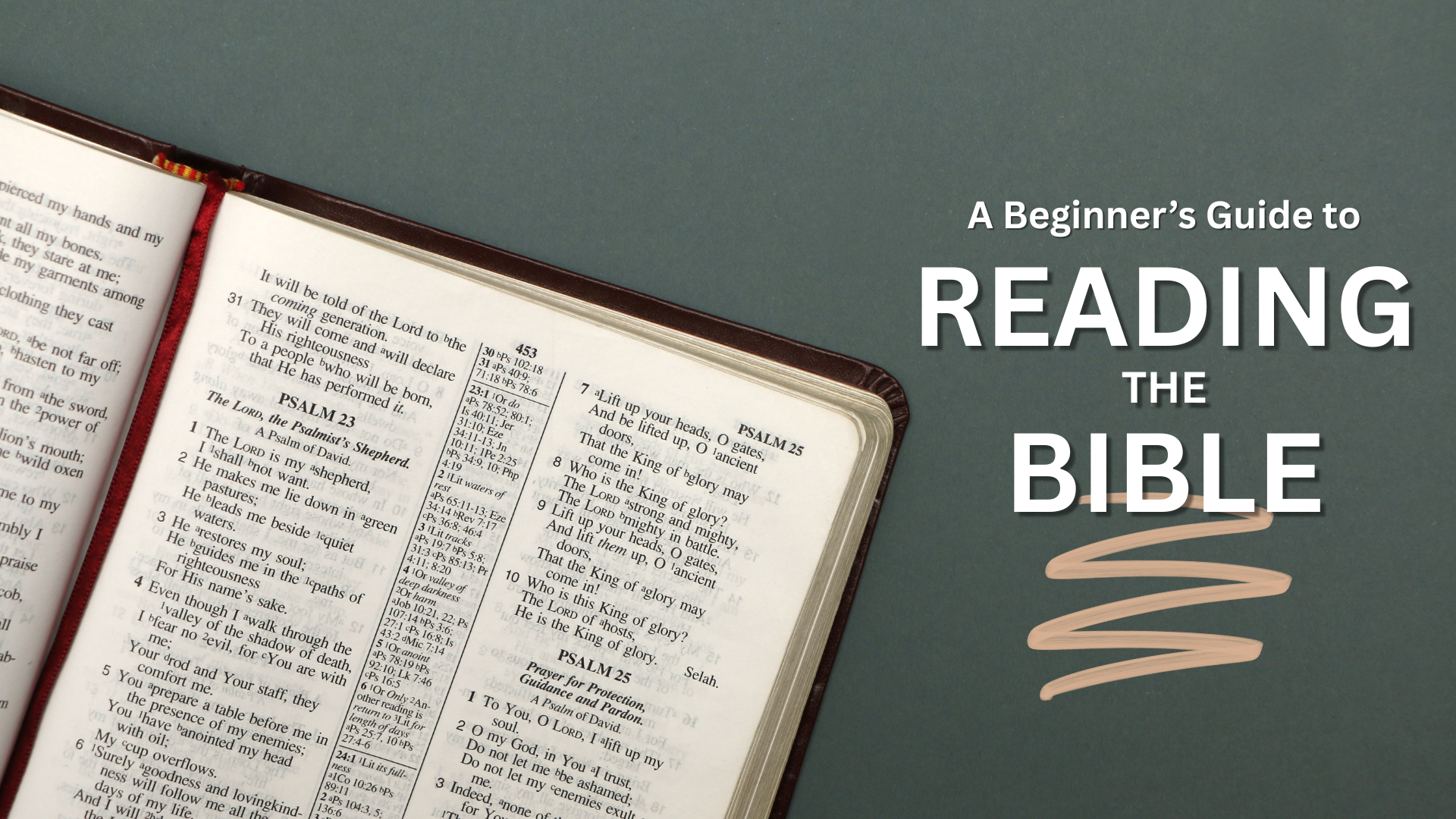 Bible on green background with text "A Beginner's Guide to Reading the Bible"