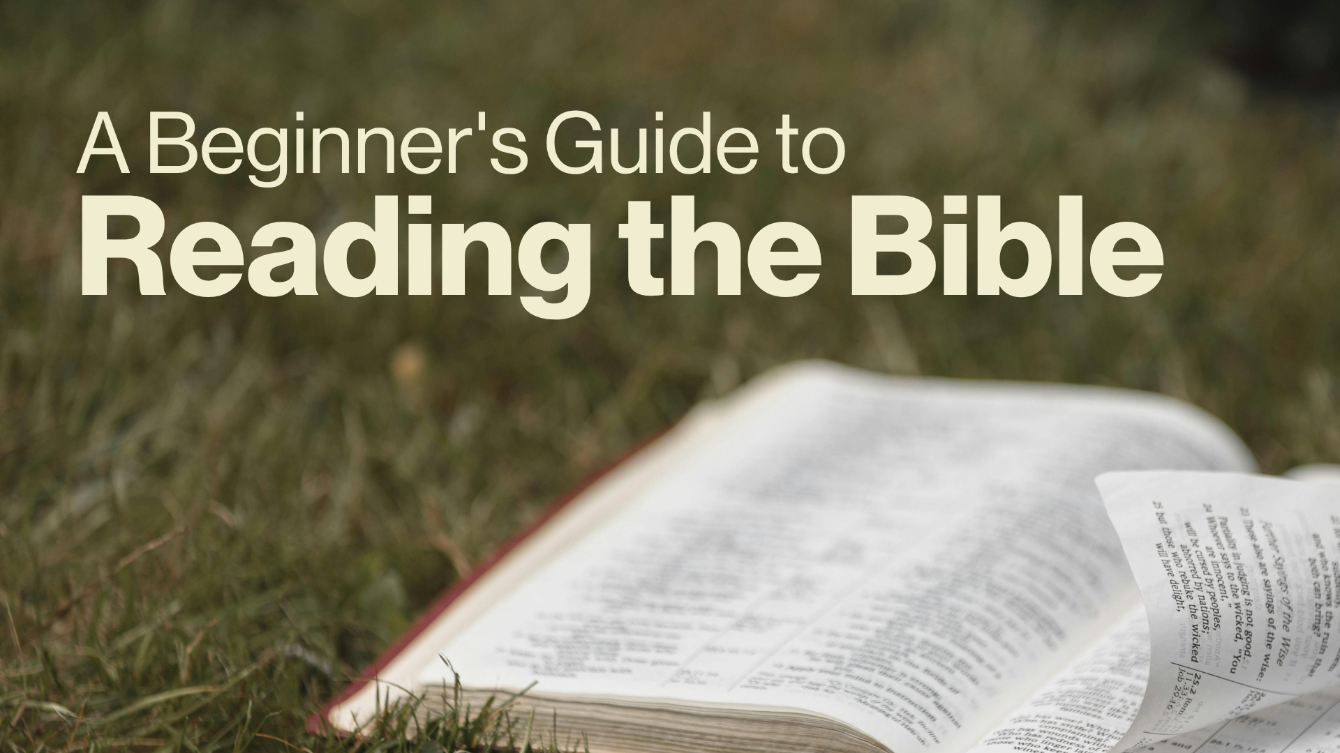 A Beginner's Guide to Reading the Bible Image