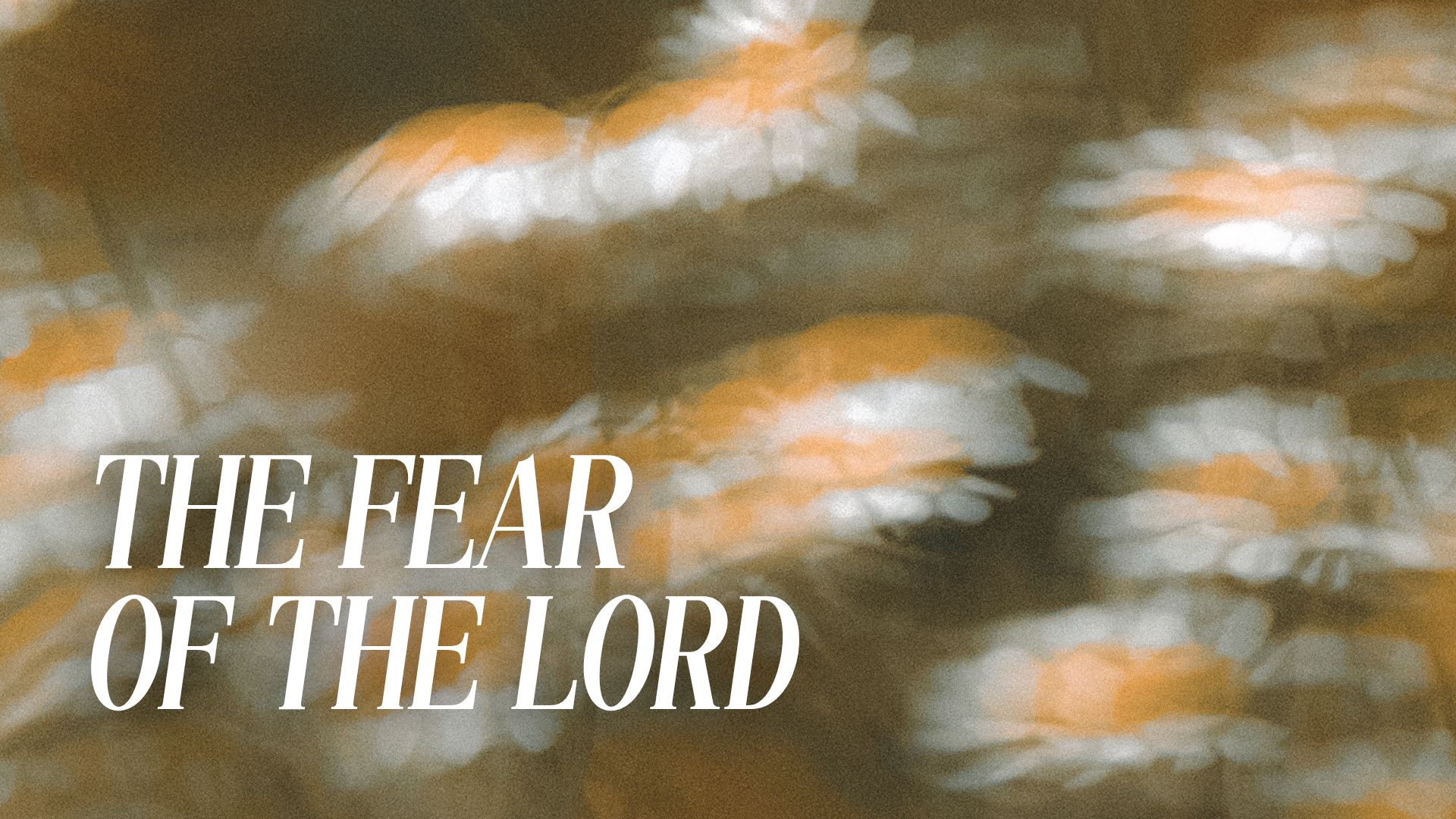 The Fear of the Lord Series Image