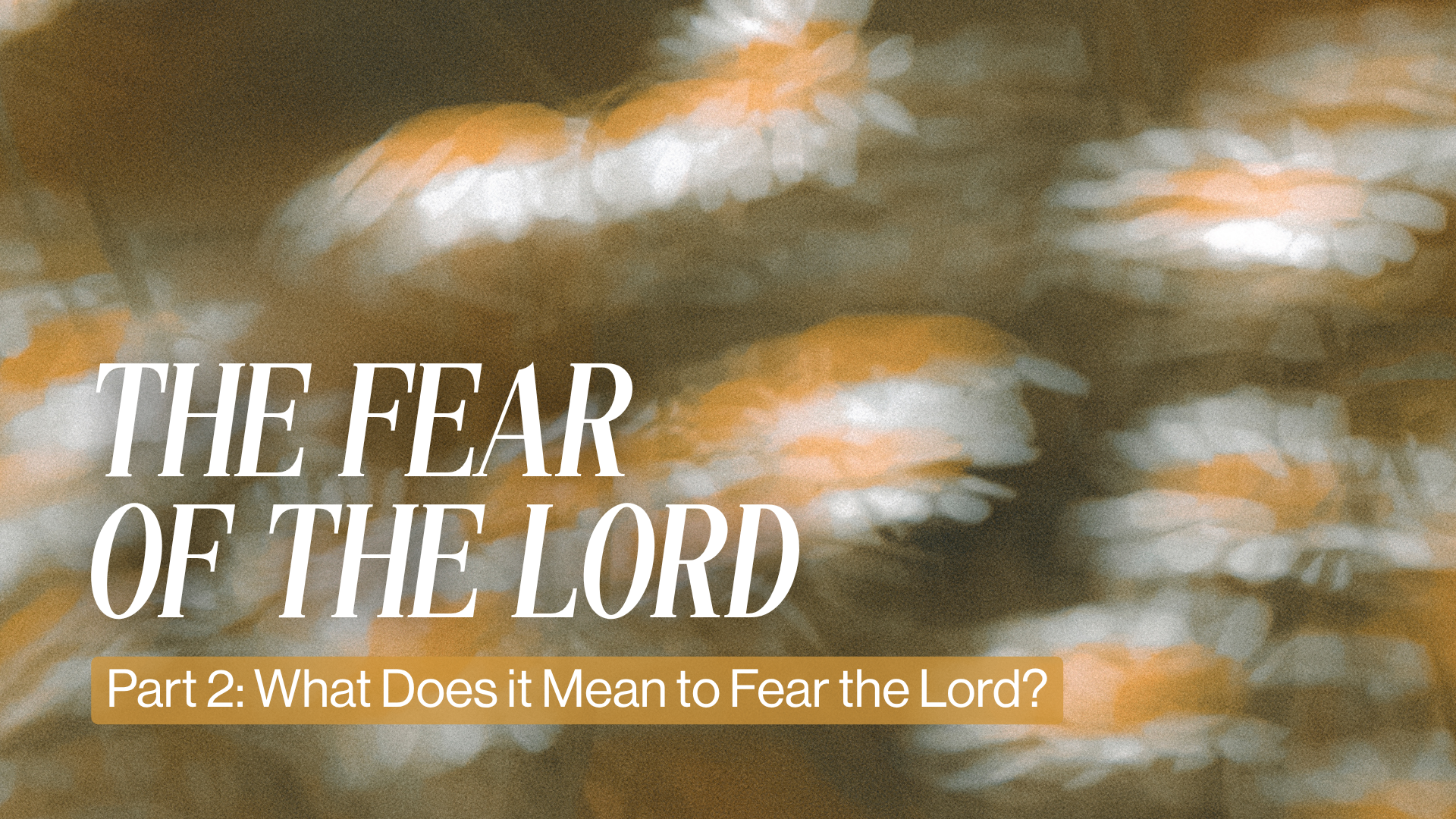 P2 Fear of the Lord Image