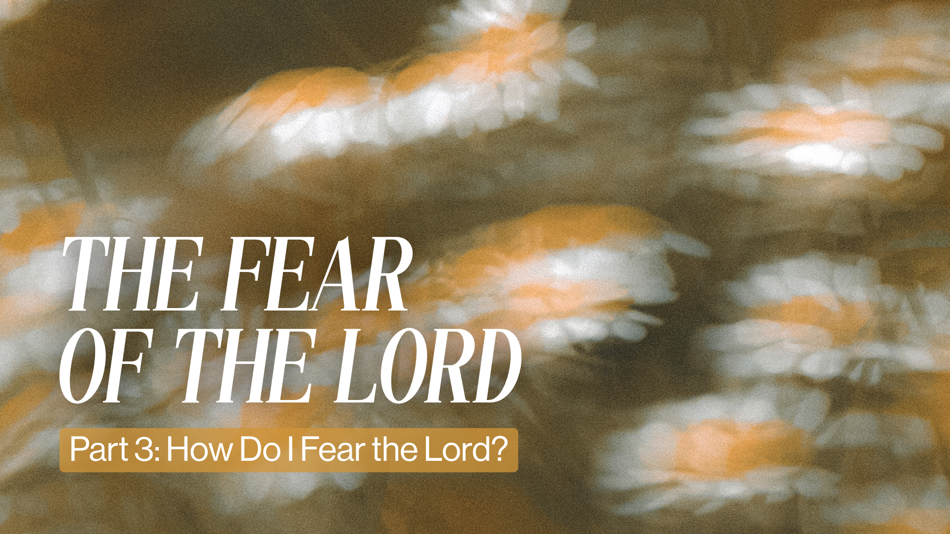 P3 Fear of the Lord Image