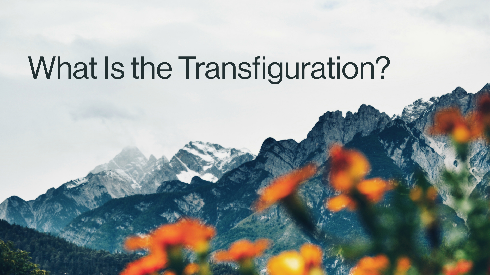 What Is the Transfiguration? Image