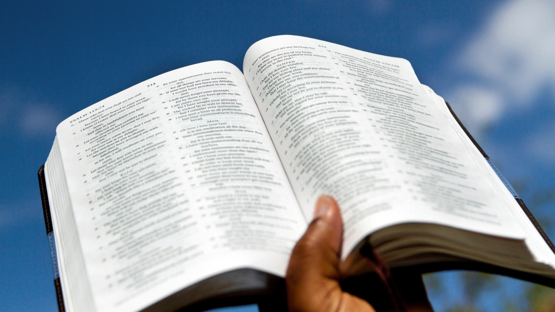 Spanish 10 Bible Verses for Protection Image