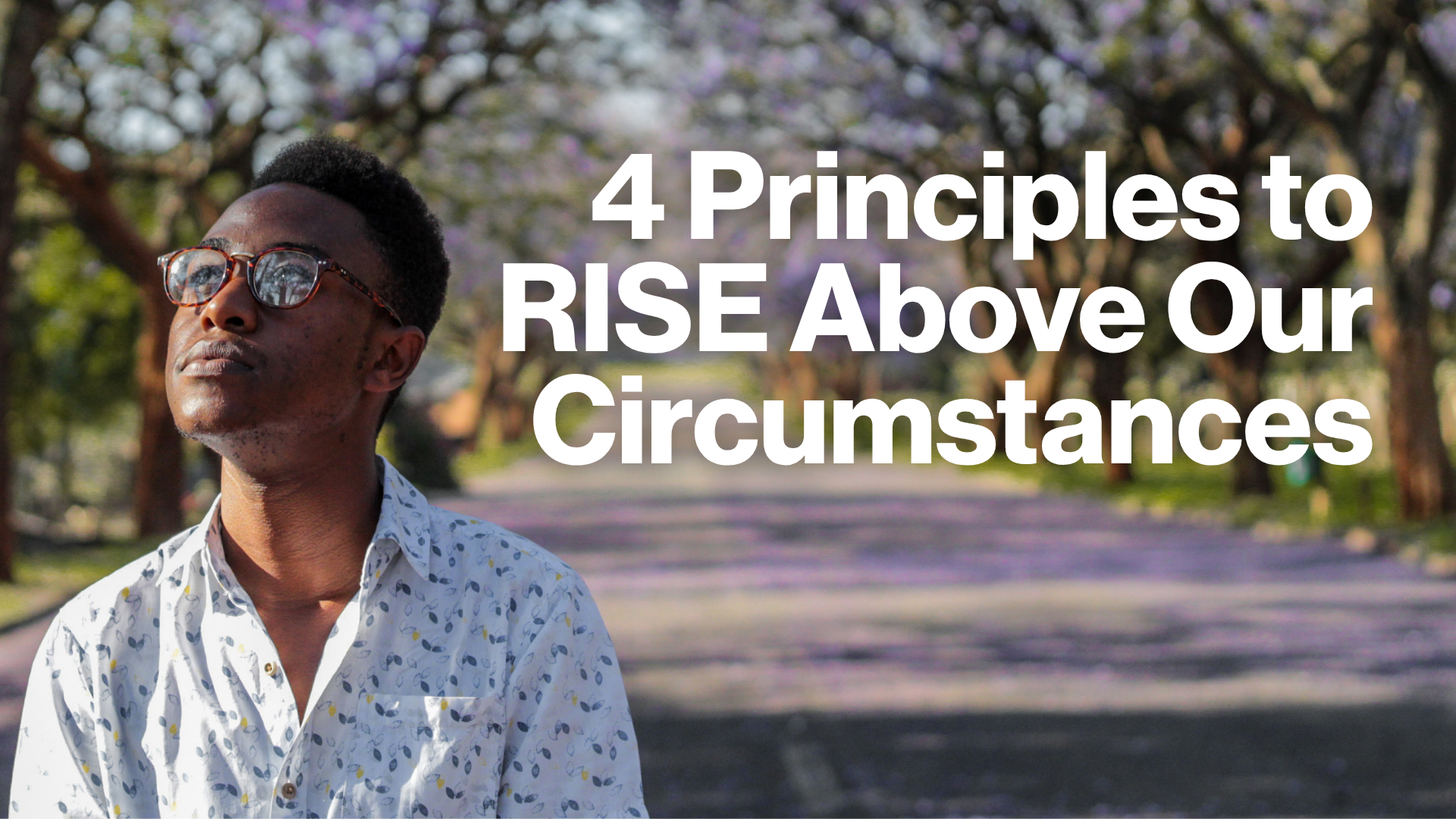 4 Principles to Rise Image