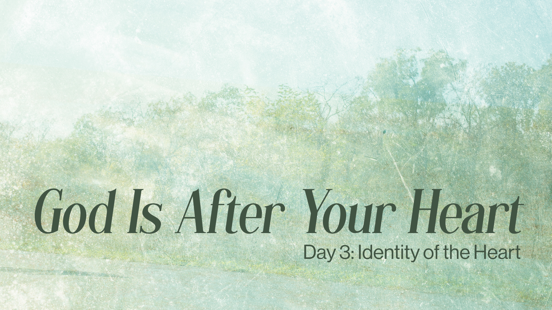 Day 3: Identity of the Heart Image