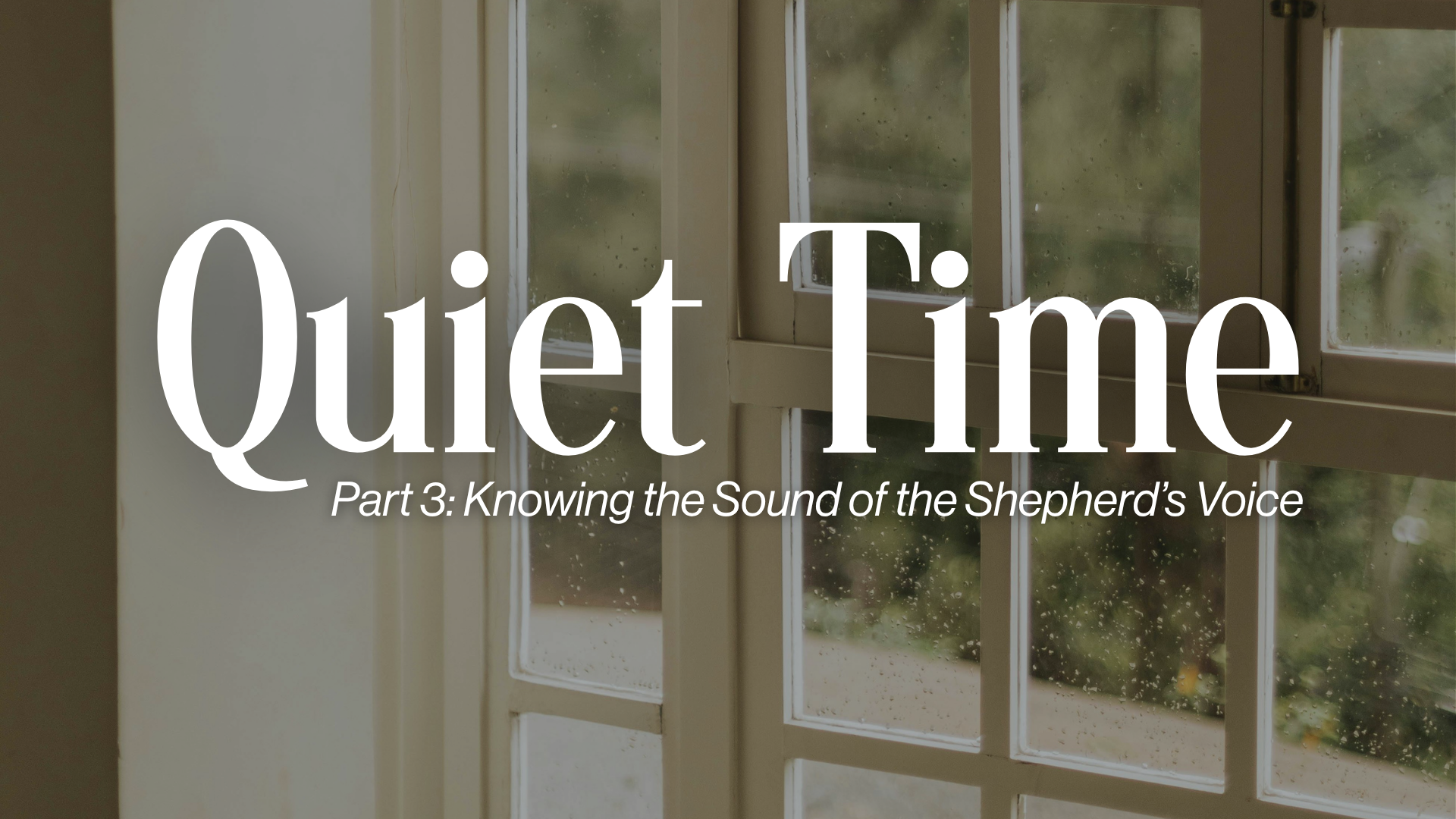 Part 3: Knowing the Sound of the Shepherd's Voice Image
