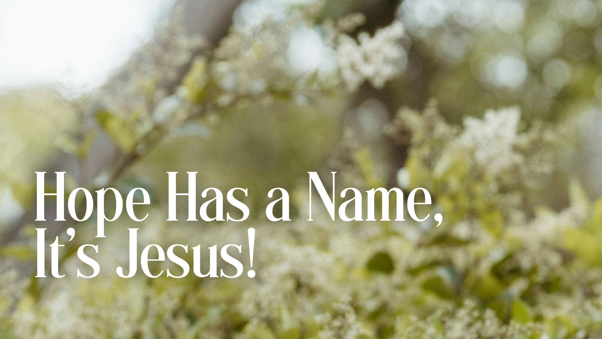 Hope Has a Name, It's Jesus! Image