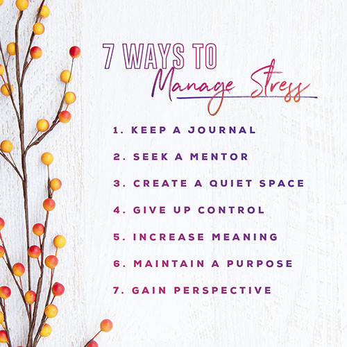 7 Ways To Manage Stress: Keep A journal Seek a Mentor Create A Quiet Space Give Up Control Increase Meaning Maintain A Purpose Gain Perspective