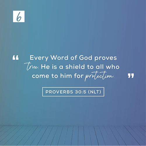 Proverbs 30:5 (NLT) – “Every Word of God proves true. He is a shield to all who come to him for protection.”
