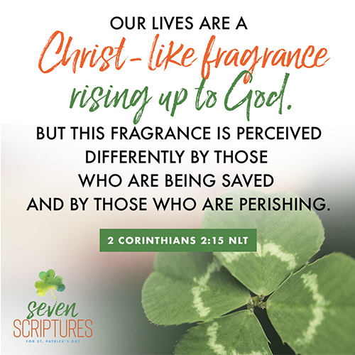 2 Corinthians 2:15 – Our lives are a Christ-like fragrance rising up to God. But this fragrance is perceived differently by those who are being saved and by those who are perishing. 