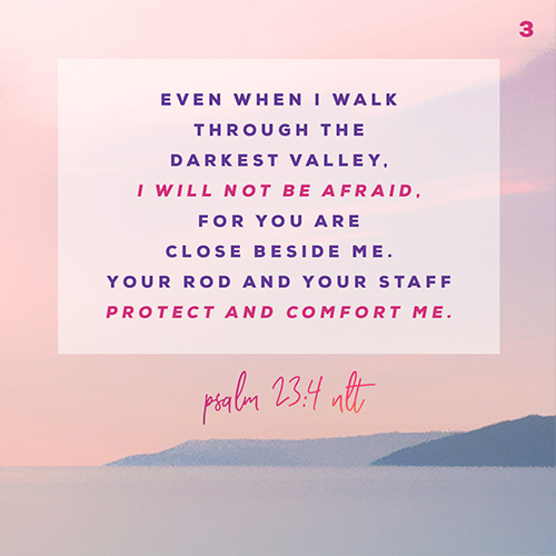 Even when I walk through the darkest valley, I will not be afraid, for you are close beside me. Your rod and your staff protect and comfort me. – Psalm 23:4