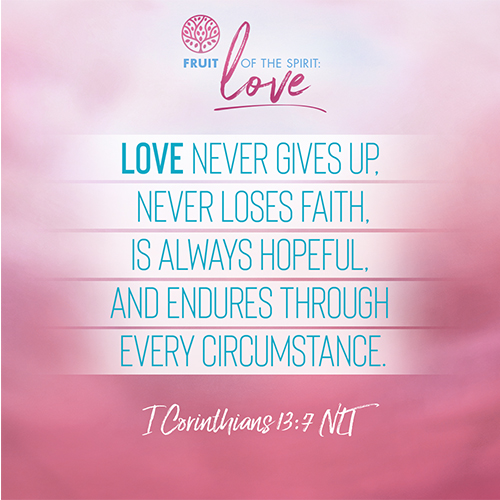 “Love never gives up, never loses faith, is always hopeful, and endures through every circumstance.”   -              I Corinthians 13:7 (NLT) 