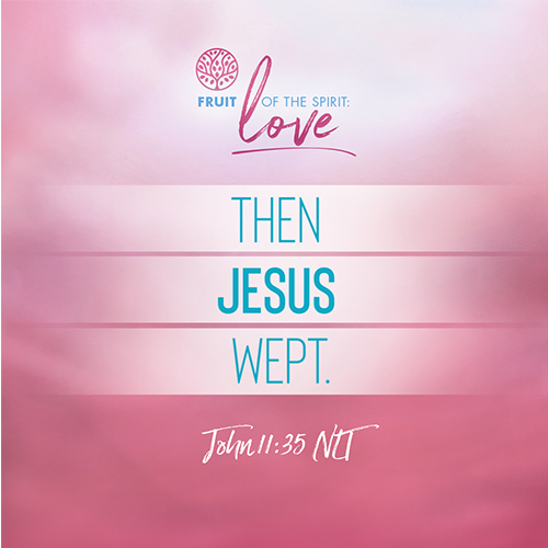 “Then Jesus wept.”  - John 11:35 (NLT) 