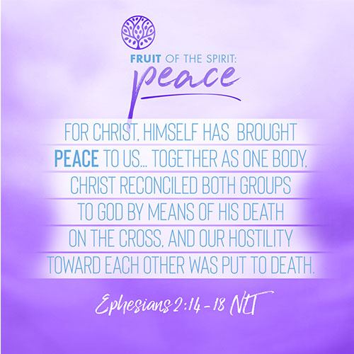 "For Christ, himself has brought peace to us…Together as one body, Christ reconciled both groups to God by means of his death on the cross, and our hostility toward each other was put to death.” - Ephesians 2:14-18