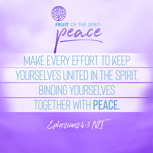 Make every effort to keep yourselves united in the Spirit, binding yourselves together with peace." - Ephesians 4:3