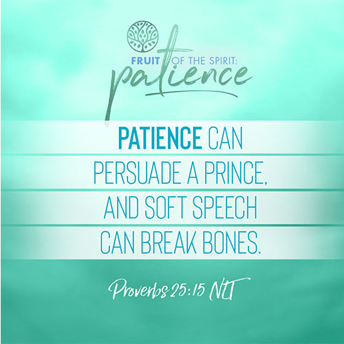 “Patience can persuade a prince, and soft speech can break bones.”  - Proverbs 25:15 