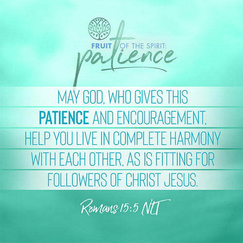 “May God, who gives this patience and encouragement, help you live in complete harmony with each other, as is fitting for followers of Christ Jesus.”  - Romans 15:5 