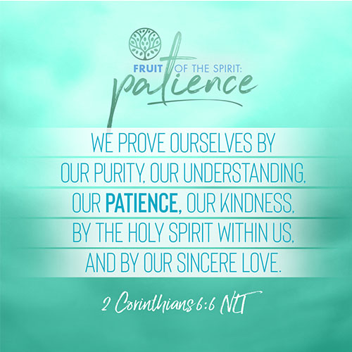 “We prove ourselves by our purity, our understanding, our patience, our kindness, by the Holy Spirit within us, and by our sincere love.”  - 2 Corinthians 6:6 
