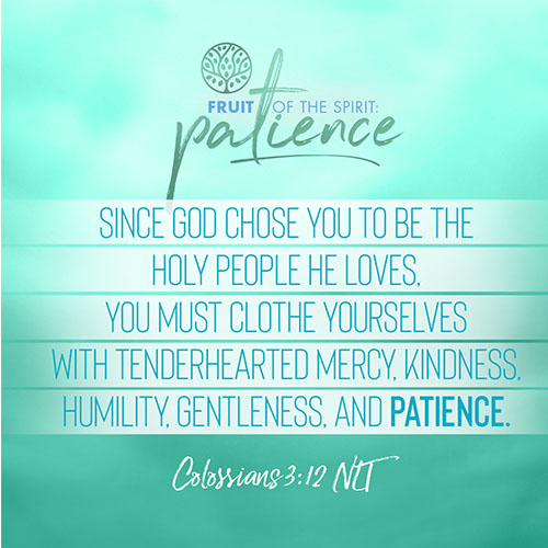 “Since God chose you to be the holy people he loves, you must clothe yourselves with tenderhearted mercy, kindness, humility, gentleness, and patience.”  - Colossians 3:12 