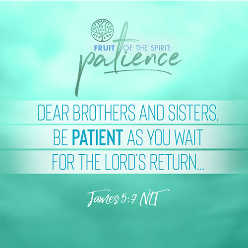 “Dear brothers and sisters, be patient as you wait for the Lord’s return...”  - James 5:7 
