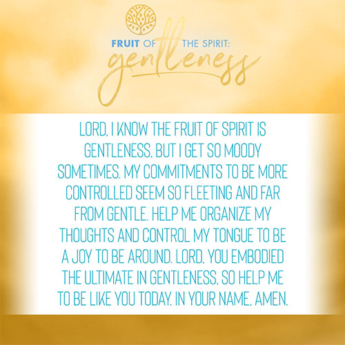 Lord, I know the fruit of Spirit is gentleness, but I get so moody sometimes. My commitments to be more controlled seem so fleeting and far from gentle. Help me organize my thoughts and control my tongue to be a joy to be around. Lord, you embodied the ultimate in gentleness, so help me to be like you today. In your name, amen.  