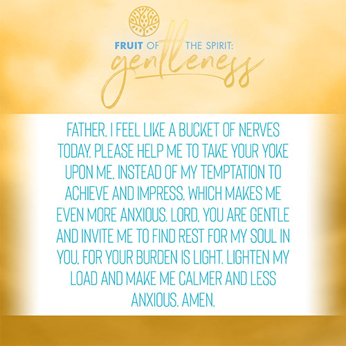 Father, I feel like a bucket of nerves today. Please help me to take your yoke upon me, instead of my temptation to achieve and impress, which makes me even more anxious. Lord, you are gentle and invite me to find rest for my soul in you, for your burden is light. Lighten my load and make me calmer and less anxious. Amen.  