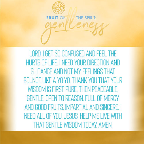 Lord, I get so confused and feel the hurts of life. I need your direction and guidance and not my feelings that bounce like a yo-yo. Thank you that your wisdom is first pure, then peaceable, gentle, open to reason, full of mercy and good fruits, impartial and sincere. I need all of you, Jesus. Help me live with that gentle wisdom today. Amen.  