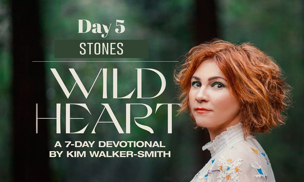 Wild Heart: A 7-Day Devotional by Kim Walker-Smith - Day Five