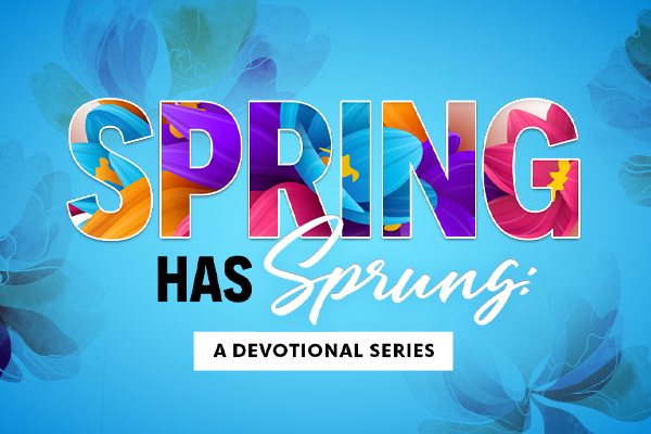 Spring Has Sprung: A Devotional Series