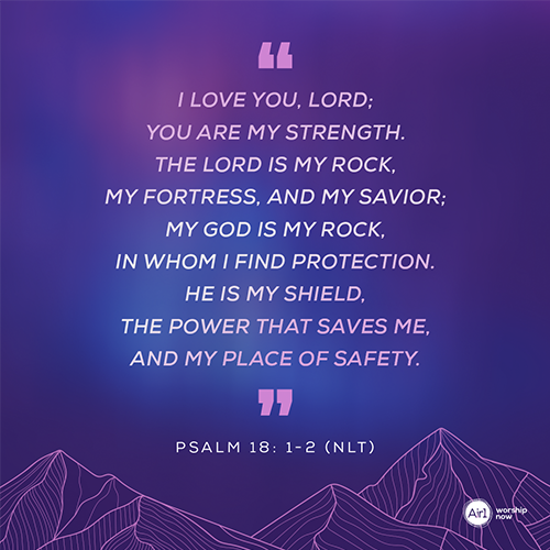 “I love you, LORD;  you are my strength. The LORD is my rock, my fortress, and my savior; my God is my rock, in whom I find protection. He is my shield, the power that saves me, and my place of safety.” Psalm 18: 1-2 (NLT)