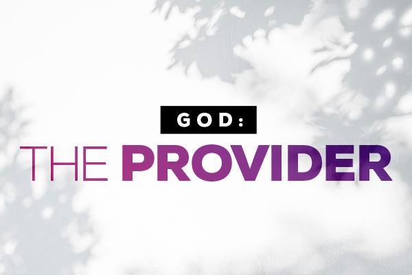 God: The Provider
