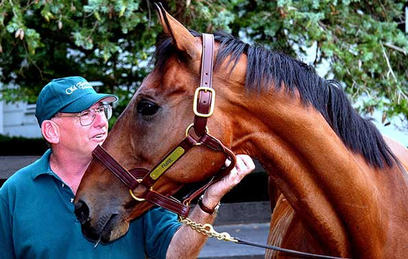 Blowen face to face with resident racehorse