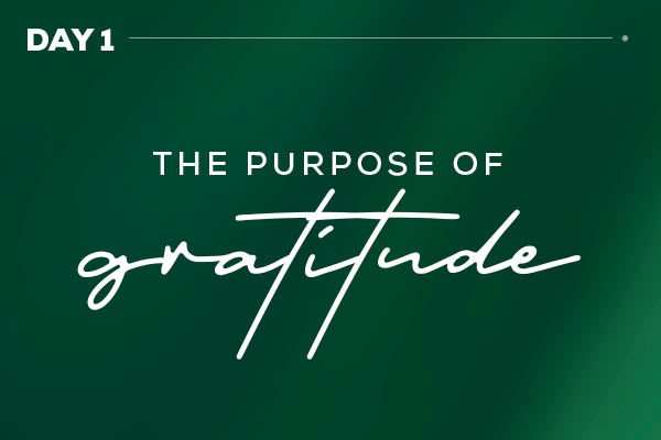 The Purpose of Gratitude